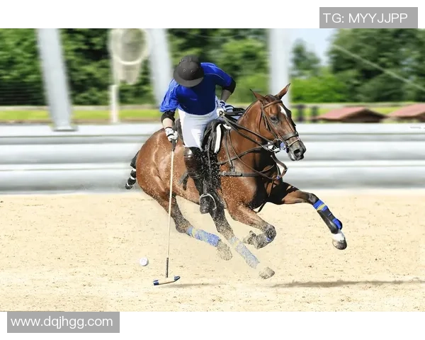 足球明星与马术的完美结合精彩瞬间大揭秘视频合集